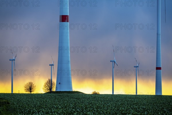 Königshovener Höhe onshore wind farm, on the A44 motorway near Bedburg, in front of the Jackerath triangle, autumn, sunset, recultivated open-cast mining site, Garzweiler open-cast lignite mine, operated by RWE and the city of Bedburg, North Rhine-Westphalia, Germany