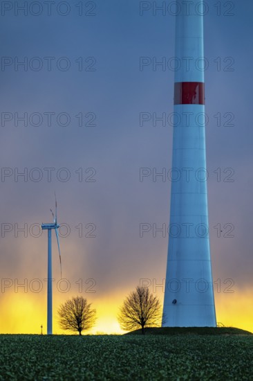 Königshovener Höhe onshore wind farm, on the A44 motorway near Bedburg, in front of the Jackerath triangle, autumn, sunset, recultivated open-cast mining site, Garzweiler open-cast lignite mine, operated by RWE and the city of Bedburg, North Rhine-Westphalia, Germany