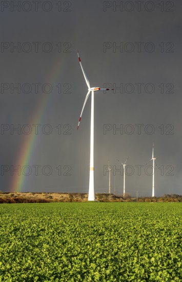 Königshovener Höhe onshore wind farm, on the A44 motorway near Bedburg, in front of the Jackerath triangle, autumn, rainbow, dark rain clouds, recultivated open-cast mining area, Garzweiler open-cast lignite mine, operated by RWE and the city of Bedburg, North Rhine-Westphalia, Germany