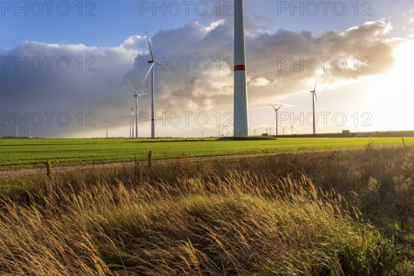 Bedburg A 44n onshore wind farm, on the A44 motorway near Bedburg, in front of the Jackerath triangle, recultivated open-cast mining site, Garzweiler open-cast lignite mine, operated by RWE and the city of Bedburg, North Rhine-Westphalia, Germany