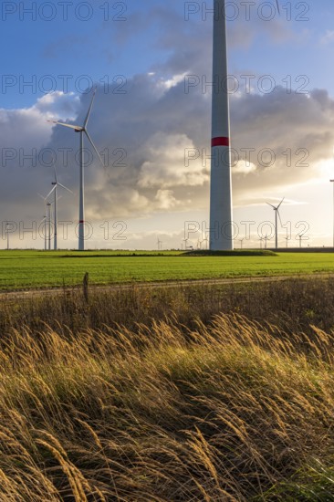 Bedburg A 44n onshore wind farm, on the A44 motorway near Bedburg, in front of the Jackerath triangle, recultivated open-cast mining site, Garzweiler open-cast lignite mine, operated by RWE and the city of Bedburg, North Rhine-Westphalia, Germany