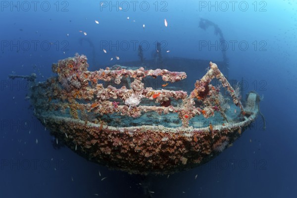 Rosalie Moller wreck, shipwreck, British, stern, sunk in World War II on 08.10, 1941 by two German bombers Heinkel He 111, northeast of El Gouna, Red Sea, Egypt