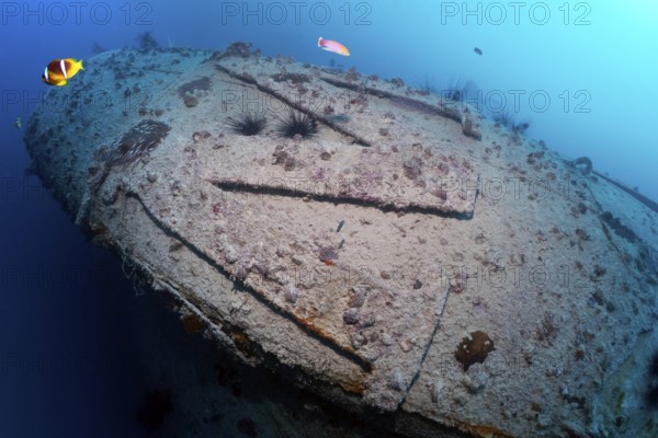 Rosalie Moller, chimney, wreck, shipwreck, British, sunk in World War II on 08.10, 1941 by two German bombers Heinkel He 111, northeast of El Gouna, Red Sea, Egypt
