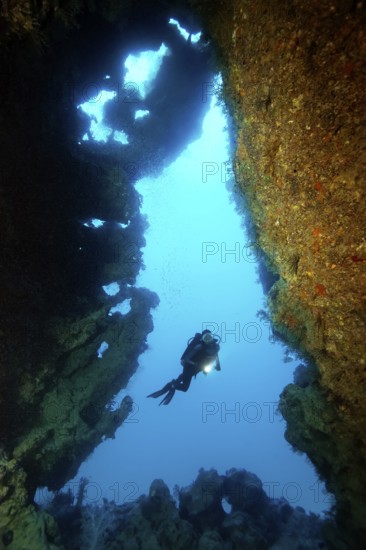 Diver, diver from cave entrance, coral reef, Gubal Island, Hurghada, Red Sea, Egypt
