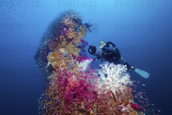 Diver, scooter, Rudi Kneip looking at loading tree, densely overgrown, soft corals (Nephtheidae), swarm of fish, Rosalie Moller wreck, shipwreck, British, sunk in World War II on 08.10, 1941 by two German bombers Heinkel He 111, northeast of El Gouna, Red Sea, Egypt