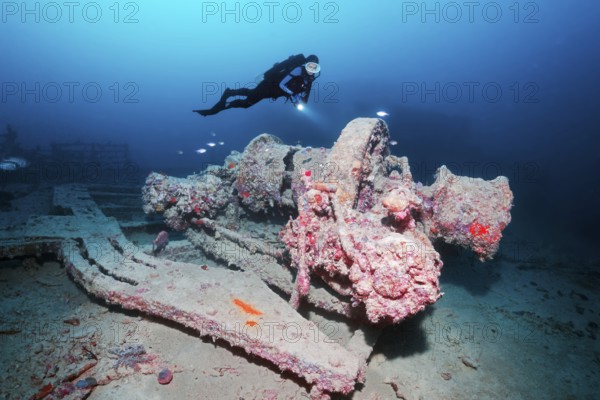 Diver, diver looking at Ankewinde, Rosalie Moller wreck, shipwreck, British, sunk in World War II on 08.10, 1941 by two German bombers Heinkel He 111, northeast of El Gouna, Red Sea, Egypt