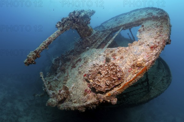 Stern with gun platform and 40mm gun, British, shipwreck, wreck, steamship, SS Thistlegorm, ammunition freighter, launching 09.04.1940 in Sunderland, Scotland, sunk Second World War, 06.10.1941 by German Heinkel He-111 on Shaab Ali, Sinai Peninsula, Egypt, Red Sea
