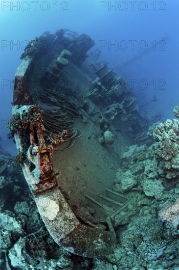Bow in the coral reef of MS Khanka, also known as Russian wreck, named SSV (Sudno Svyazyy) on the hull former Russian spy ship or communication ship, shipwreck, Zabargad island, Red Sea, Egypt