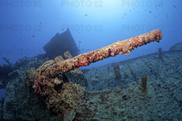 Gun platform and 40mm gun, British, shipwreck, steamship SS Thistlegorm, ammunition freighter, launching 09.04.1940 in Sunderland, Scotland, sunk Second World War, 06.10.1941 by German Heinkel He-111 on Shaab Ali, Sinai Peninsula, Egypt, Red Sea
