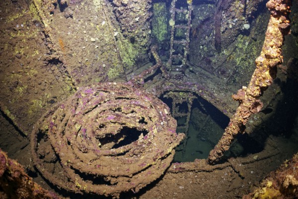 Stairway, ladder, cable, below deck SS Turkia, British, steamship, sunk 17.05.1941, Second World War Red Sea, Gulf of Suez, Egypt