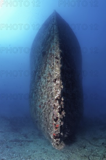 Hull, bow SS Turkia, wreck, shipwreck, British, steamship, sunk 17.05.1941, Second World War, from the front, frontal, overgrown, overgrown, crusted, Red Sea, Gulf of Suez, Egypt