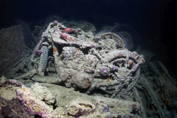 British Small Arms BSA M-20 motorcycle, shipwreck, SS Thistlegorm, Red Sea, Shaab Ali, Sinai Peninsula, Egypt