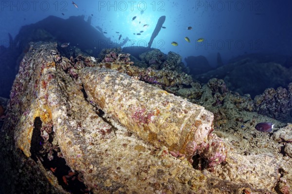 Grenade, bullet for heavy gun, British, in shipwreck, wreck, steamship SS Thistlegorm, ammunition freighter, launching 09.04.1940 in Sunderland, Scotland, sunk Second World War, 06/10/1941 by German Heinkel He-111 on Shaab Ali, Sinai Peninsula, Egypt, Red Sea