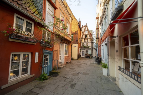 Colourful houses with shops and half-timbered houses in a small alley, picturesque district with nice little houses, Schnoorviertel, Bremen, Germany