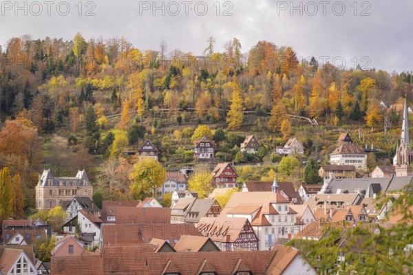 Autumn city view with colorful foliage and church buildings, Calw, Black Forest, Germany