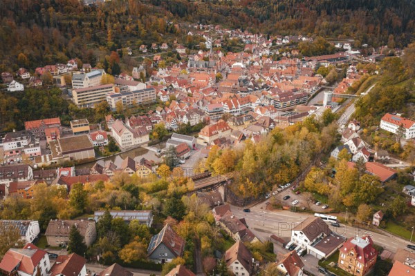 Bird's eye view of a picturesque urban landscape surrounded by forest and autumn colors, Calw, Black Forest, Germany