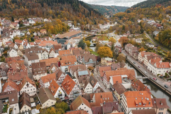 Panoramic urban view with half-timbered houses and autumnal forests in the background, Calw, Black Forest, Germany
