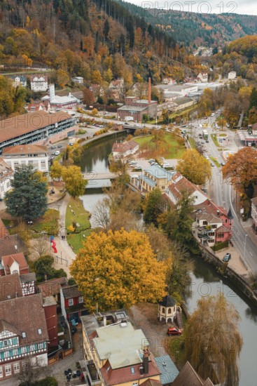 River with bridge through the city, surrounded by autumn landscape and half-timbered buildings, Calw, Black Forest, Germany