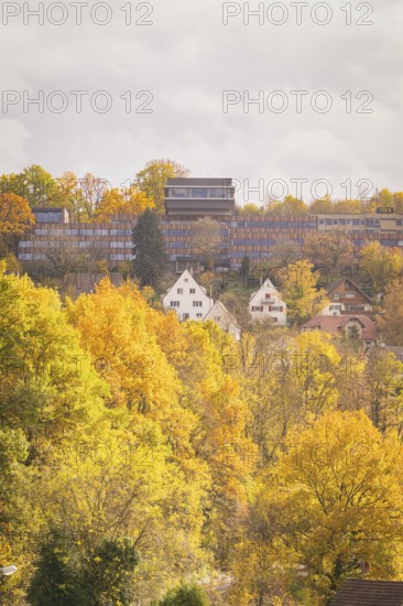 Autumn picture with colorful leaves, houses and cloudy sky, Calw, Black Forest, Germany