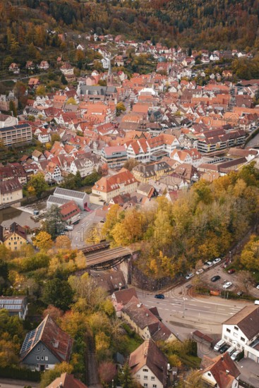 Panoramic view of a historic town with red-brick roofs and autumnal forest in the background, Calw, Black Forest, Germany