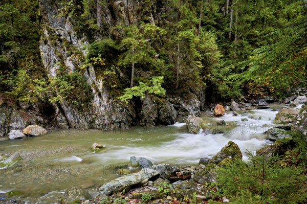 Diosaz mountain river in the gorge, Gorges de la Diosaz, Les Houches, Chamonix-Mont-Blanc, Haute-Savoie, France