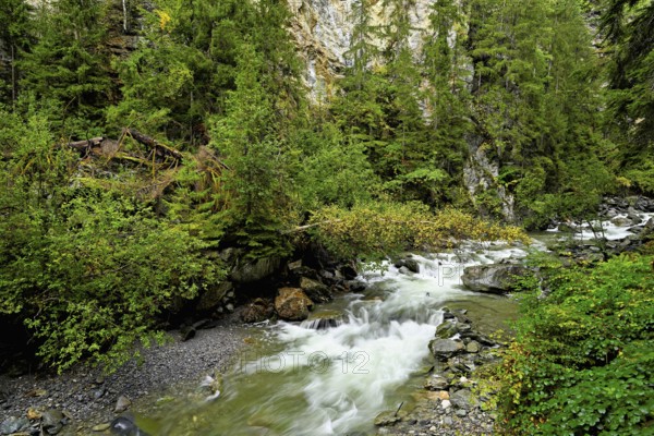 Diosaz mountain river in the gorge, Gorges de la Diosaz, Les Houches, Chamonix-Mont-Blanc, Haute-Savoie, France