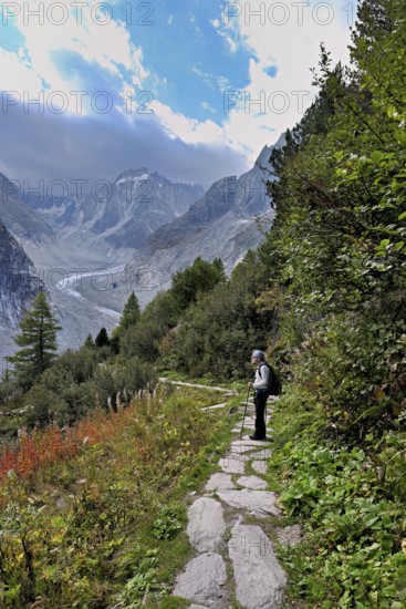 Female hiker on mountain trail in autumn-colored surroundings with the Mer de Glace glacier, Mont-Blanc, Chamonix-Mont-Blanc, Haute-Savoie, France