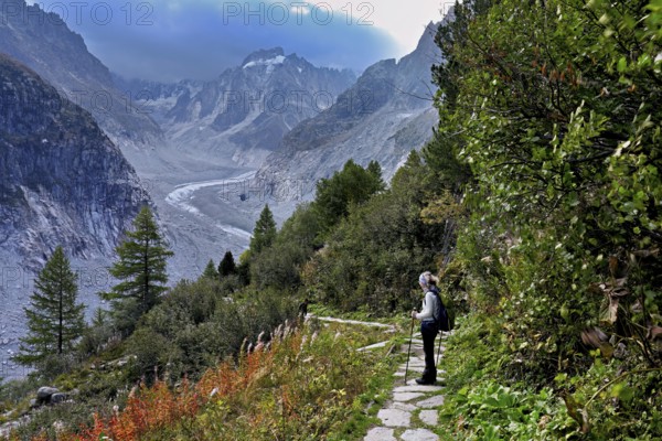 Female hiker on mountain trail in autumn-colored surroundings with the Mer de Glace glacier, Mont-Blanc, Chamonix-Mont-Blanc, Haute-Savoie, France