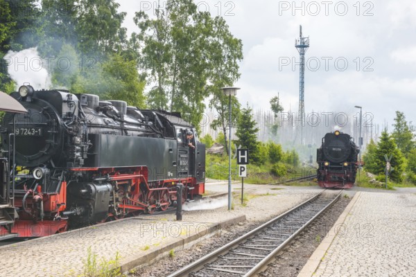 Front and side of steaming railway locomotives, two steam locomotives, steam locomotive, rails and level crossing, platform, steam clouds, smoke, clouds of smoke, Harzer narrow-gauge railways, narrow-gauge railway at Schierke station against forest backdrop and radio tower, dead wood from the common spruce (Picea abies) in the background, forest, low mountain ranges, nature reserve, spruce dying, Brocken railway from Drei Annen Hohne to the Brocken, Harz National Park, Ostharz, Harz, Wernigerode, Harz District, Saxony-Anhalt, Germany