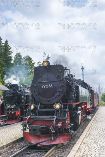 Steaming railway locomotives, two steam locomotives, steam locomotive, front, rails, platform, steam clouds, smoke, clouds of smoke, Harz narrow-gauge railways, narrow-gauge railway in Schierke station against forest backdrop and radio tower, in the background forest, low mountains, nature reserve, historic Brocken Railway from Drei Annen Hohne to Brocken, Harz National Park, Ostharz, Harz, Wernigerode, Harz district, Saxony-Anhalt, Germany
