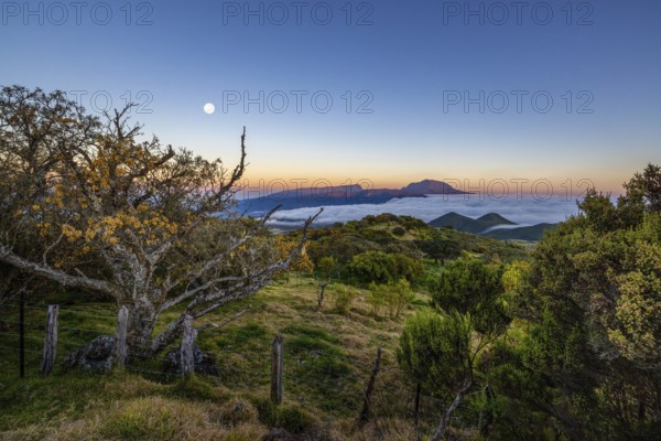 View of Piton de Neige mountain, La Reunion, vast landscape with mountains in the background, the moon rising in a clear evening sky, Reunion
