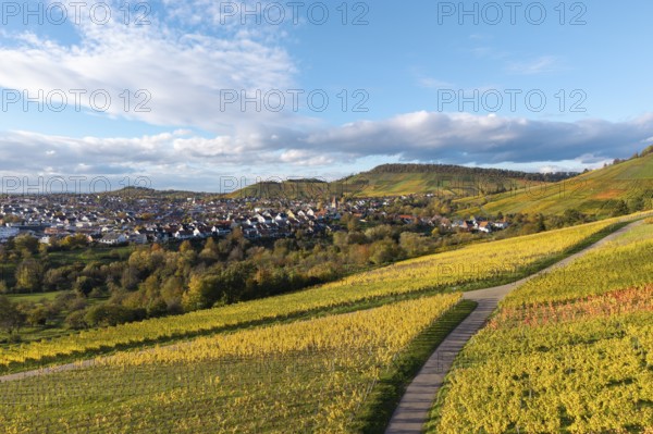 Vineyards with a path leading to a village surrounded by hills and clouds, autumn, Korb-Steinreinach im Remstal, Baden-Württemberg, Germany