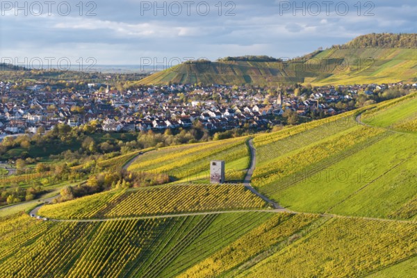 Village with surrounding hills and vineyards, a distinctive building in the middle of the fields, observation tower, autumn, Korb-Steinreinach im Remstal, Baden-Württemberg, Germany