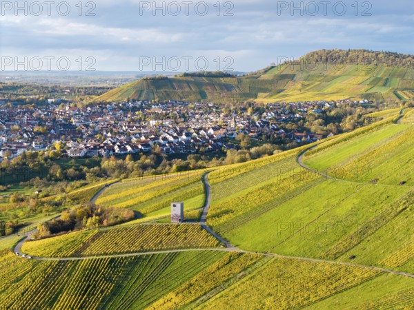 Vineyards and hills surround a town, a central building in the middle distance, autumn, observation tower, Korb-Steinreinach im Remstal, Baden-Württemberg, Germany