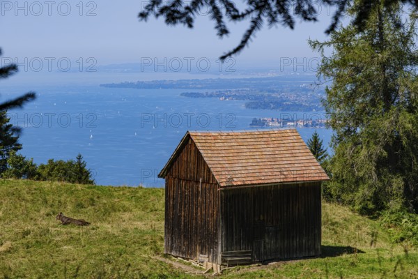 Individual alpine hut with picturesque views over Lake Constance towards Lindau from Pfänder near Fluh, Bregenz, Vorarlberg, Austria