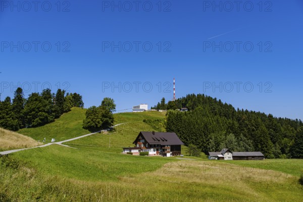 Picturesque alpine meadow landscape on the Pfänder with a view of the Pfänderbahn mountain station and the Pfänderspitze, Lochau, Bregenz, Vorarlberg, Austria