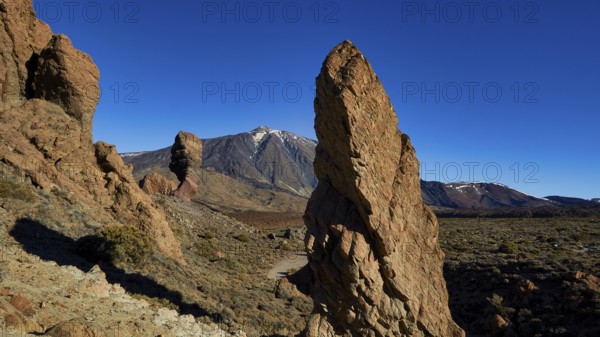 Volcanic rock formations in dry landscape with blue sky, UNESCO World Heritage Site, Teide National Park, Teide National Park, Tenerife, Canary Islands, Spain