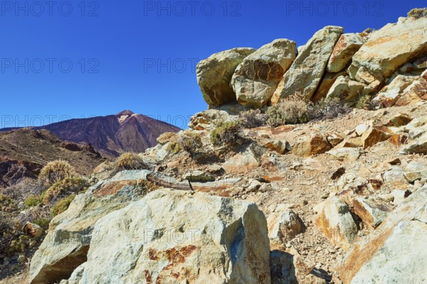 Colorful rock in the foreground against a clear sky and a distant volcano, UNESCO World Heritage Site, Teide National Park, Tenerife, Canary Islands, Spain