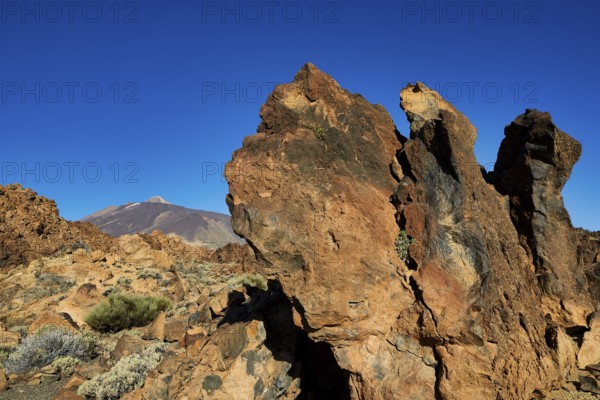 Rough rock formations under clear sky with a volcano in the distance, UNESCO World Heritage Site, Teide National Park, Teide National Park, Tenerife, Canary Islands, Spain