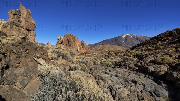 Barren landscape with rocks and volcano under bright sky, UNESCO World Heritage Site, Teide National Park, Teide National Park, Tenerife, Canary Islands, Spain