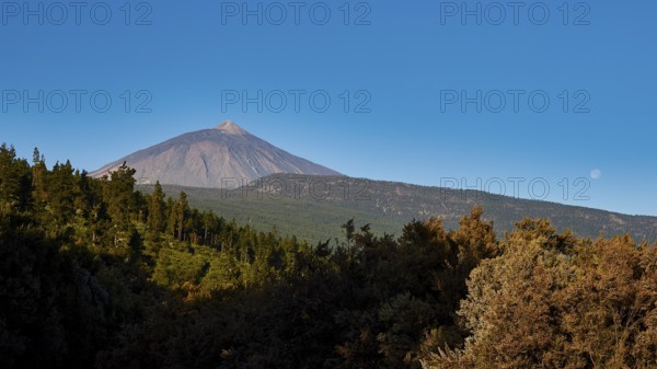 Teide, Orotava Valley, volcano in the background, surrounded by thick forests and a visible moon in the sky, UNESCO World Heritage Site, Teide National Park, Teide National Park, Tenerife, Canary Islands, Spain