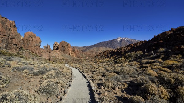Trail through rocky volcanic landscape under clear blue sky, UNESCO World Heritage Site, Teide National Park, Teide National Park, Tenerife, Canary Islands, Spain