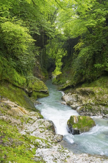 Calm flowing river through green forests and rocky surroundings, Martvili Gorge, Martvili Canyon, Inchchuri village, Abasha river, Martvili municipality, Mingrelia-Upper Svaneti region, Georgia