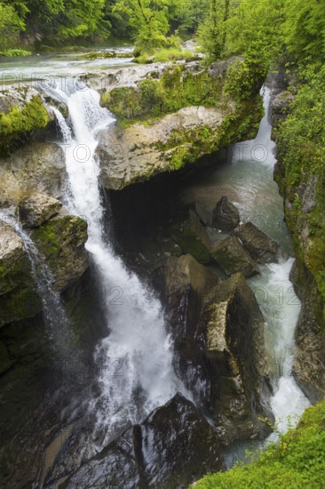 Narrow waterfall through deep gorge surrounded by thick greenery, Martvili Gorge, Martvili Canyon, Inchchuri village, Abascha river, Martvili municipality, Mingrelia-Upper Svaneti region, Georgia