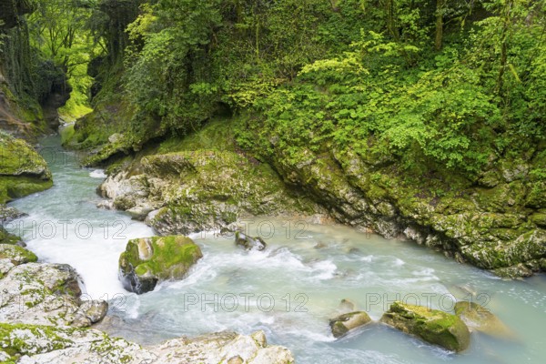 Quiet river surrounded by rocks and lush green forest, Martvili Gorge, Martvili Canyon, Inchchuri village, Abasha river, Martvili municipality, Mingrelia-Upper Svaneti region, Georgia
