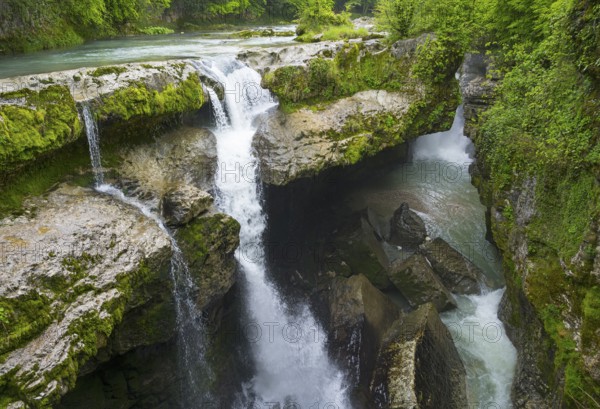 Cascading water through green, rocky gorge in lush nature, Martvili Gorge, Martvili Canyon, Inchchuri village, Abasha river, Martvili municipality, Mingrelia-Upper Svaneti region, Georgia