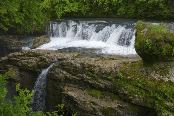 River waterfall with moss-covered rocks in a green forest, Martvili Gorge, Martvili Canyon, Inchchuri village, Abasha river, Martvili municipality, Mingrelia-Upper Svaneti region, Georgia
