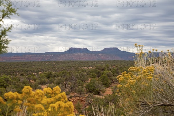 Bears Ears National Monument, Utah - The two buttes that give the National Monument its name are seen in the distance