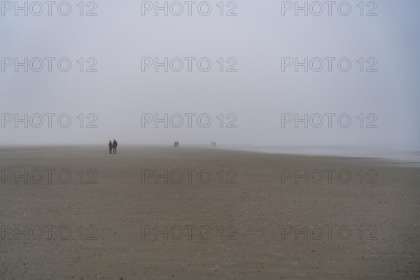 Walkers on the mudflats, in thick fog, near the East Frisian island of Spiekeroog, west of the North Sea island, at low tide, with a wind farm on the coast in the background, Lower Saxony, Germany