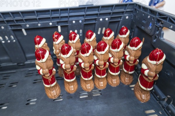 Several red and white chocolate Santa Claus figures on a plastic pallet, Christmas baking, Haselstaller Hof, Wildberg, Germany